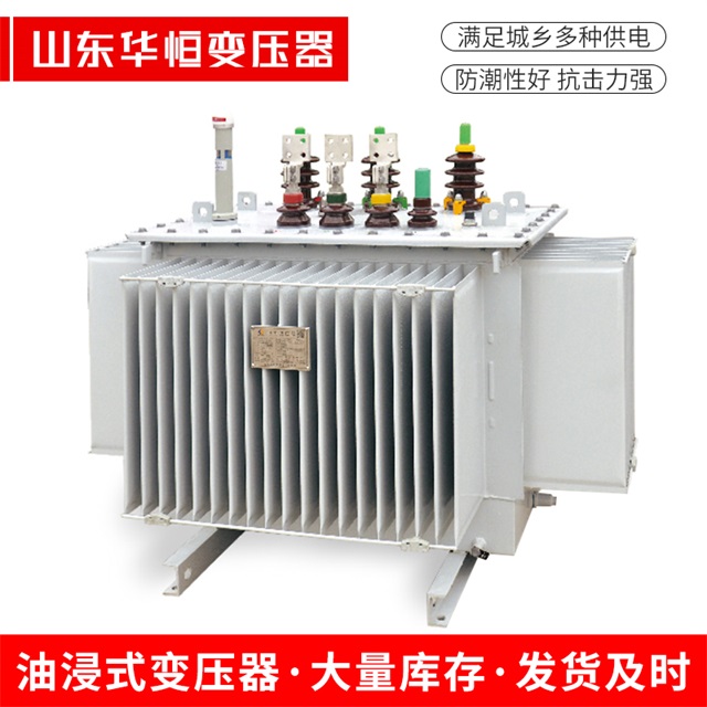 S13-10000/35察哈尔右翼前察哈尔右翼前察哈尔右翼前电力变压器